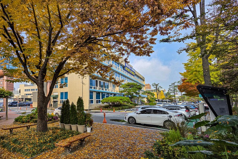 대전 중구, 부동산 중개업소 개설등록...