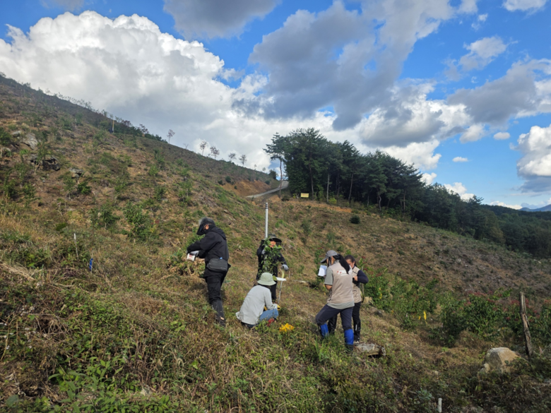 강원특별자치도, 청정 산림자원 가치 ...