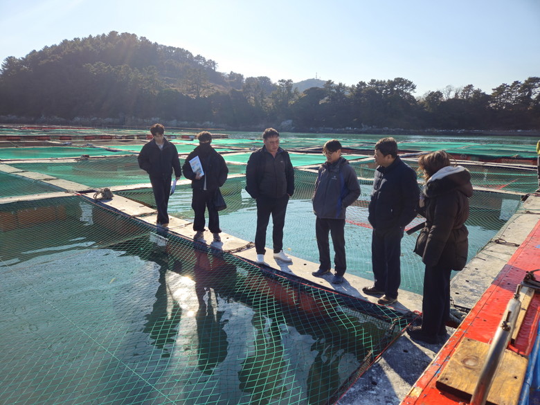 전남도, 서부·내만 해역 저수온 주의...