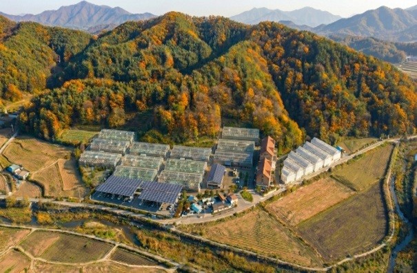 첨단 임업 시대 본격 개막  경북 영...